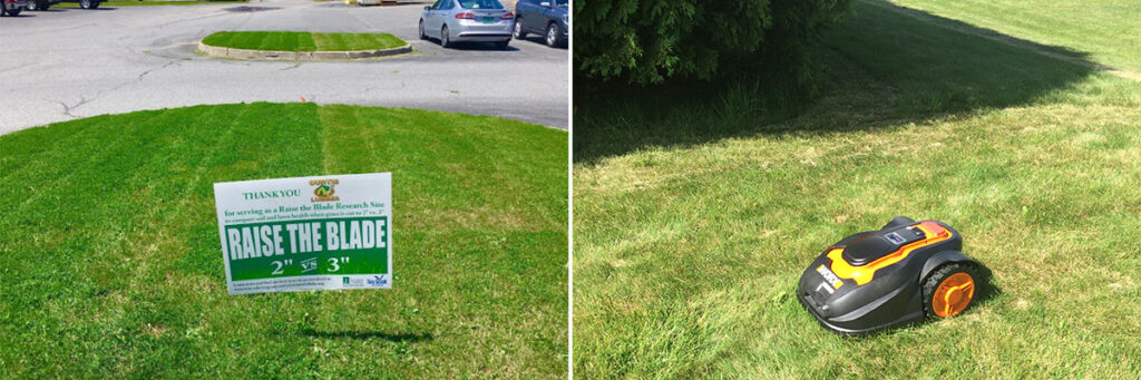 Mo Monday: Does Cutting Grass to 3″ vs. Shorter Really Matter?