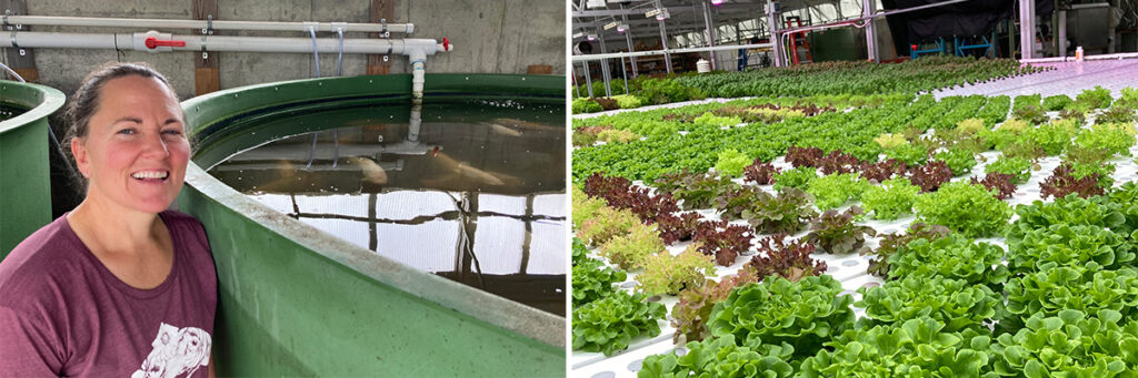 Producing Sustainable Greens from the Ark in Northern Vermont