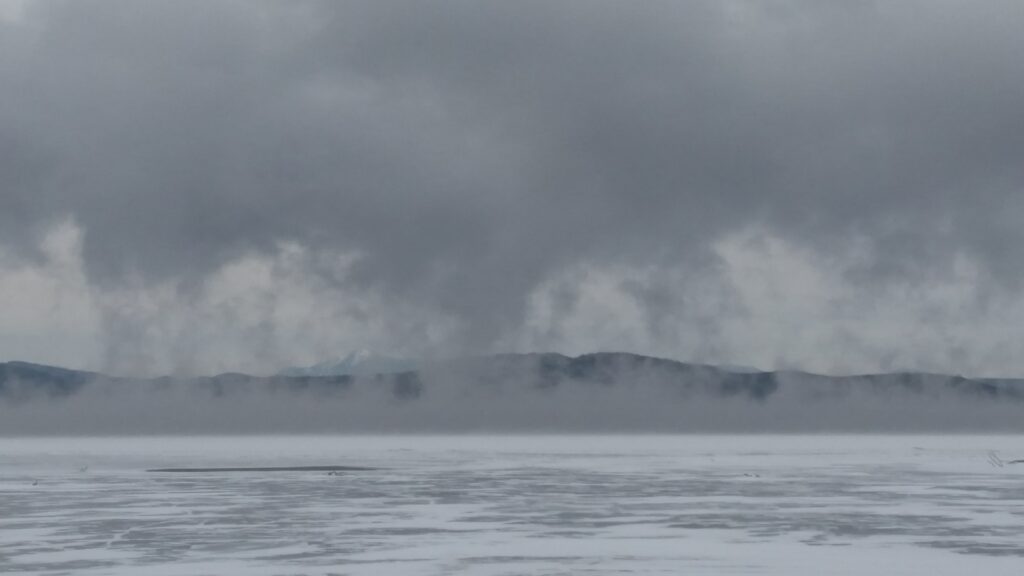 Undergraduate Intern Erin O’Mara Reflects on Community Science and Her Time With Sea Grant