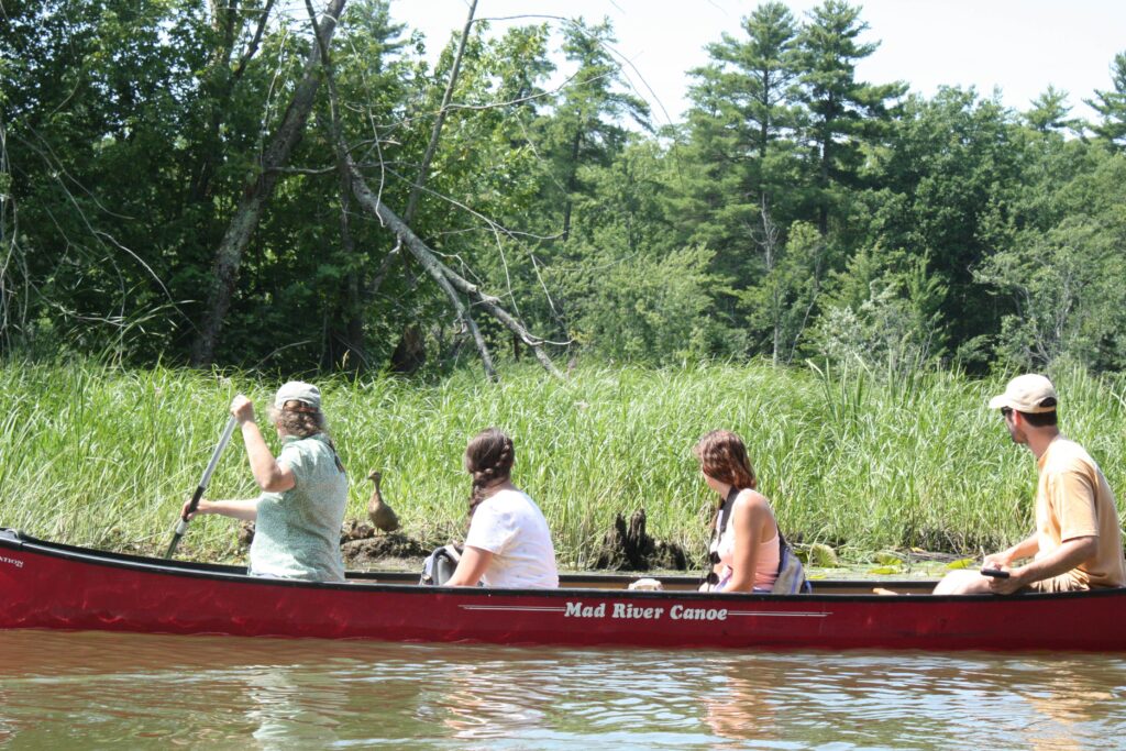 Extension Leader Kris Stepenuck participates in White House citizen science forum