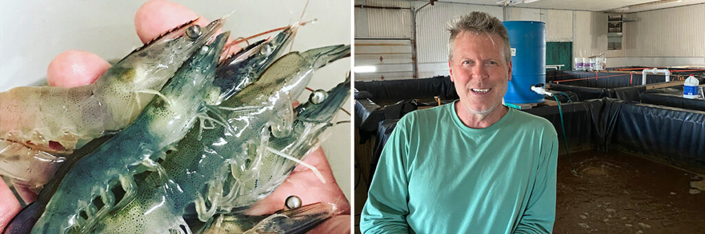 Local Aquaculture Specialist John Brawley Expands Lake Champlain Sea Grant Role