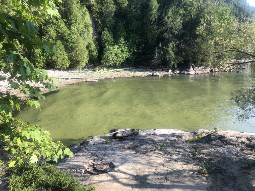 The Dog Days of Summer are Here and With Them, Beach Closures—How to Stay Safe on and in Lake Champlain