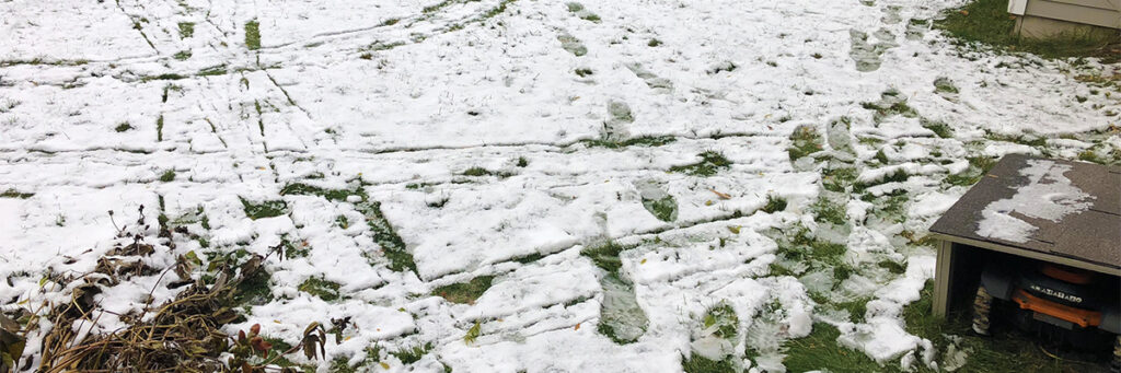 Mo Monday: Winding Down the Mowing Season