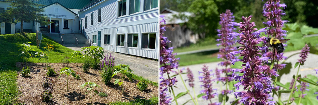 Teacher and Students Build Rain Garden While Social Distancing