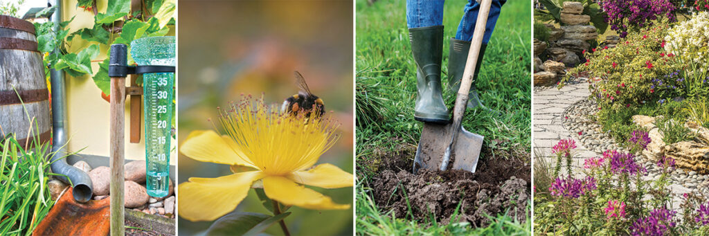 Install a Rain Garden; Start with a Free How-To Manual for Vermont and the Lake Champlain Basin